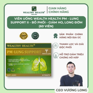 PM - Hỗ trợ Phổi II