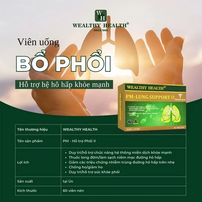 PM - Hỗ trợ Phổi II - Ảnh 8