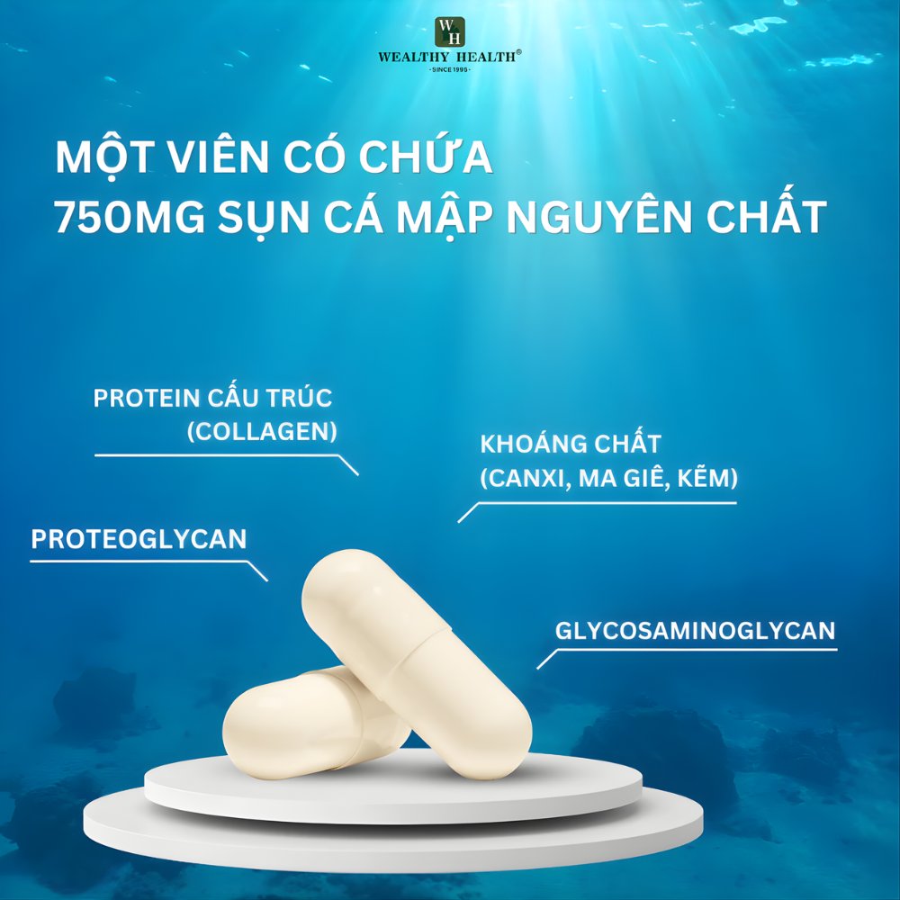 Viên nang sụn cá mập biển xanh 750MG - Ảnh 9