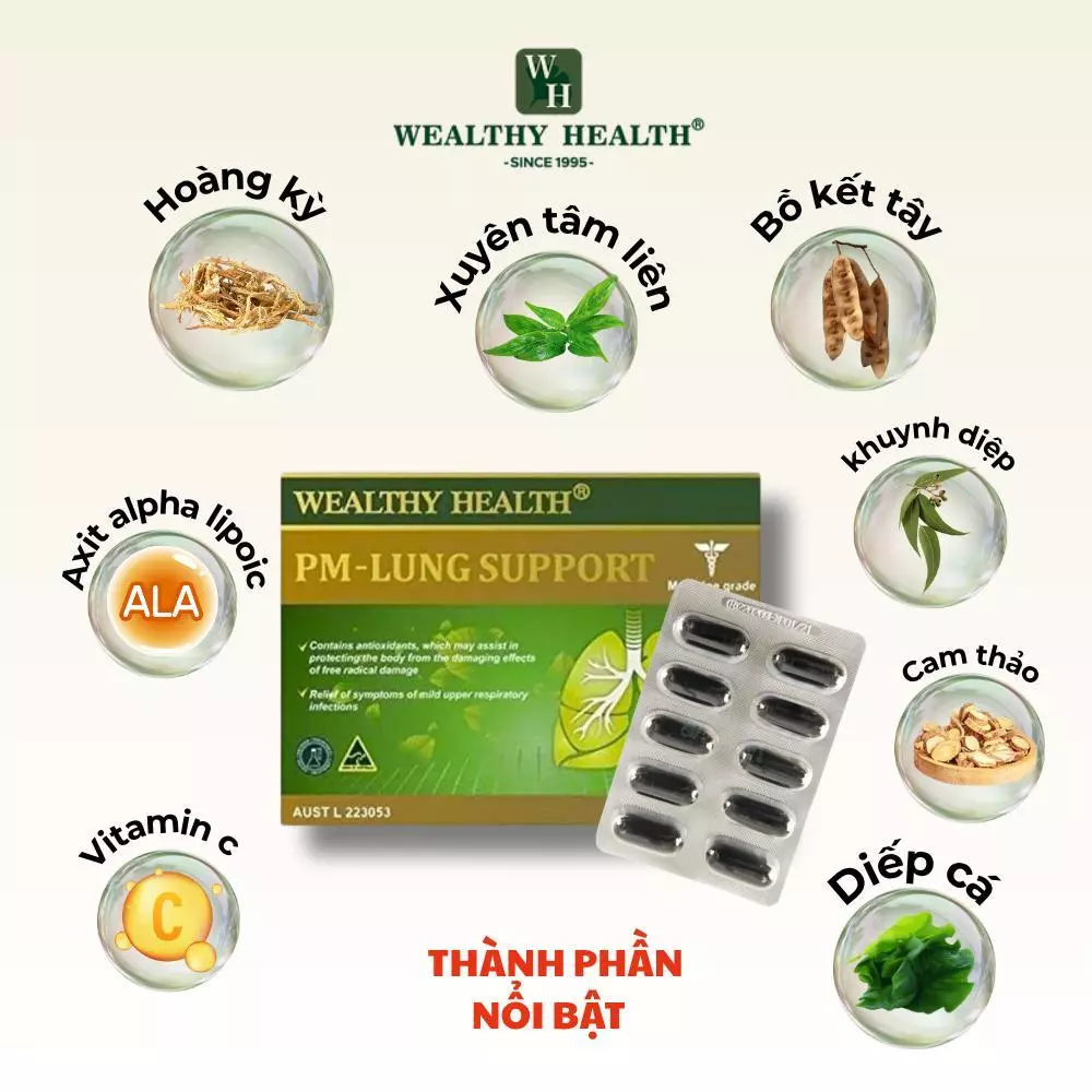 PM - Hỗ trợ Phổi II - Ảnh 6