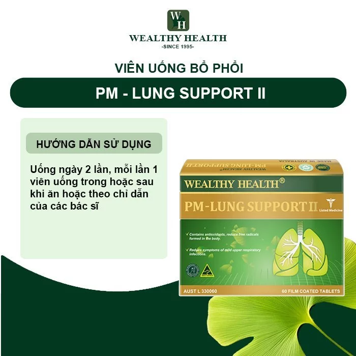 PM - Hỗ trợ Phổi II - Ảnh 4